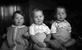 Beauly triplets. 