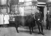 J. Davidson the butcher, Queensgate. Present site of Duncan Fraser Butchers.*