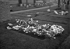 Tomnahurich cemetery. Floral tributes.*