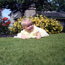 Mrs Claire Campbell, Mingulay, Island Bank Road, Inverness. ~ 