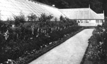 Cluny Castle greenhouses. Submitted by Catherine Cowing. * 