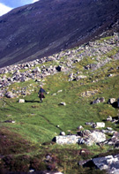 Scottish Highlands scenery, possibly Strathconon. (Courtesy James S Nairn Colour Collection). ~ *