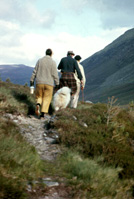 Scottish Highlands scenery, possibly Strathconon. (Courtesy James S Nairn Colour Collection). ~ *