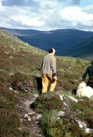 Scottish Highlands scenery, possibly Strathconon. (Courtesy James S Nairn Colour Collection). ~ *