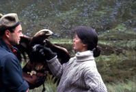 Peter Combe with Wendy Stewart and Murdoch the golden eagle in Strathconon. (Courtesy James S Nairn Colour Collection). ~ 