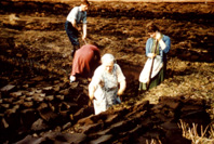 Casting peats. (Courtesy James S Nairn Colour Collection). ~ *