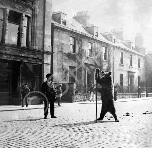 Travelling groups of musicians, showmen and entertainers were a common sight in the streets of Inverness during the 1880s-90s. Performing bears were a regular attraction and always drew a crowd. This bear is standing in Academy Street outside the old Rose Street Foundry building (now a bar) with house numbers 92-94 in the background, c1895. *