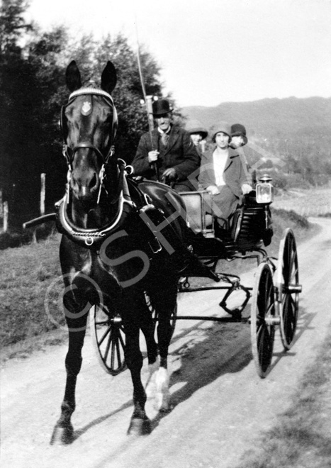 Horse and buggy outing. #