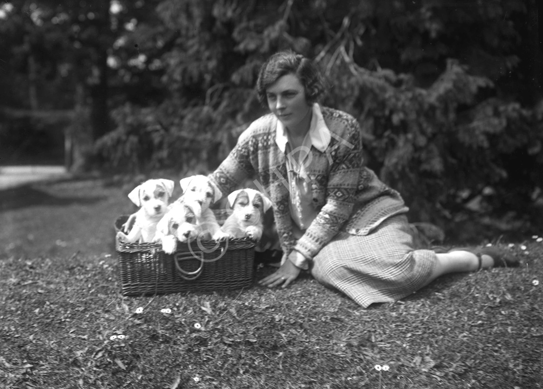 Mrs Allan, Drummond. 