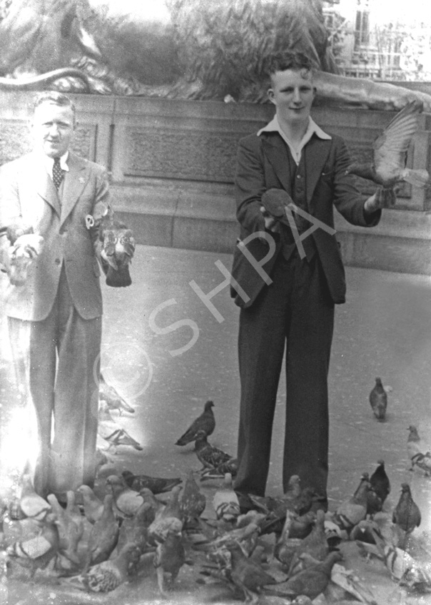 Copy for Mrs. Ross, Balnain Post Office. Taken beside the lion statues in Trafalgar Square, London. 
