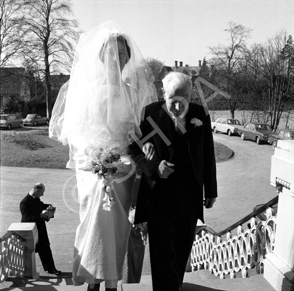 Bainbridge - Hutchison bridal.