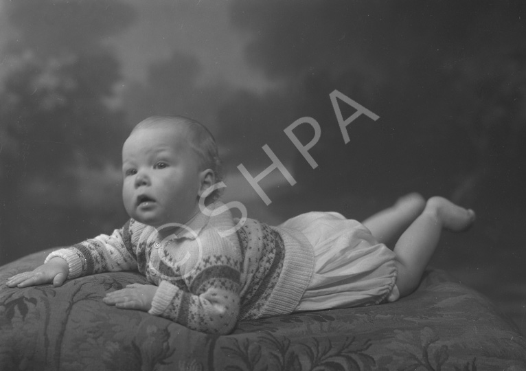 Campbell, baby, Creich Farm.   