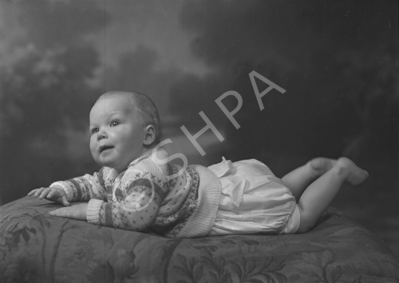 Campbell, baby, Creich Farm.   