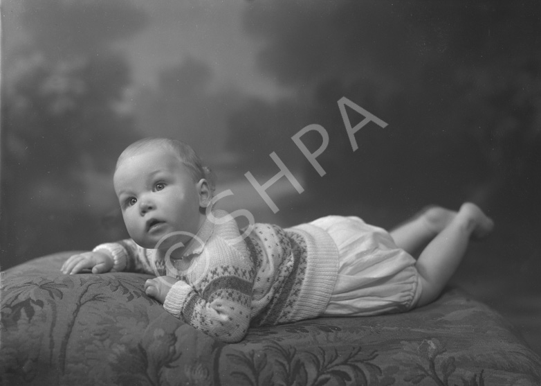 Campbell, baby, Creich Farm. 