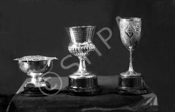 Miss Johnstone. Budgerigar Society silver cups. Damaged negative.