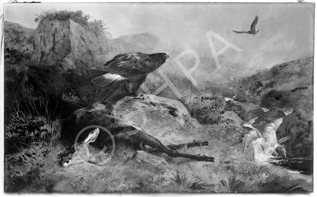 Mr V.C. Boles, The Lost Hind (1894) watercolour by Archibald Thorburn (1860-1935).*
