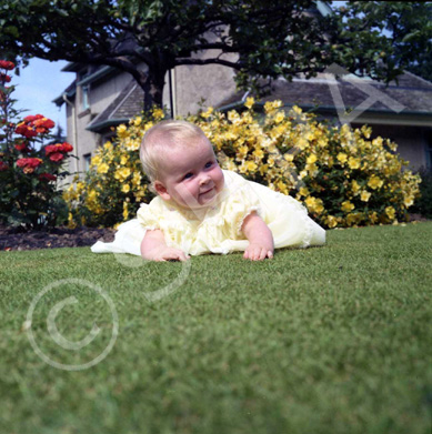 Mrs Claire Campbell, Mingulay, Island Bank Road, Inverness. ~ 
