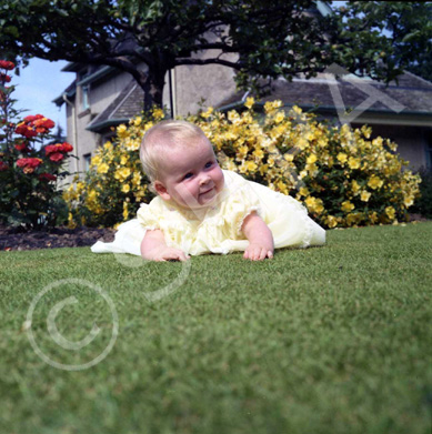 Mrs Claire Campbell, Mingulay, Island Bank Road, Inverness. ~ .....