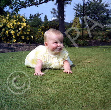 Mrs Claire Campbell, Mingulay, Island Bank Road, Inverness. ~ .....