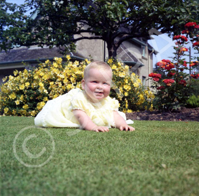 Mrs Claire Campbell, Mingulay, Island Bank Road, Inverness. ~ .....