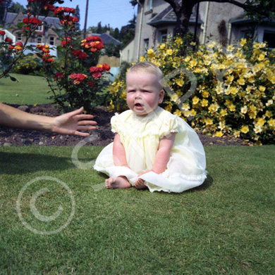 Mrs Claire Campbell, Mingulay, Island Bank Road, Inverness. ~ .....