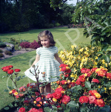 Mrs Claire Campbell, Mingulay, Island Bank Road, Inverness. ~ 