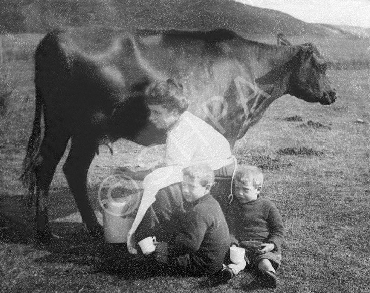 Jane Mary Urquhart (nee Sutherland) milking Bessie the cow at The Loans of Tullich, and giving two nephews a cup of milk in 1927. They are Angus Sutherland's children, Robert and David. Robert became a detective in Edinburgh and David a cabinet-maker. (Their sister Kitty had meningitis). Submitted by Carole Urquhart James.