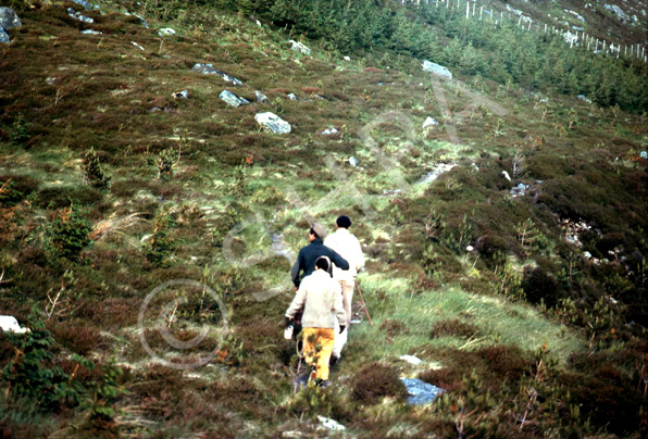 Scottish Highlands scenery, possibly Strathconon. (Courtesy James S Nairn Colour Collection). ~ *