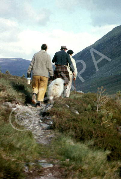 Scottish Highlands scenery, possibly Strathconon. (Courtesy James S Nairn Colour Collection). ~ *