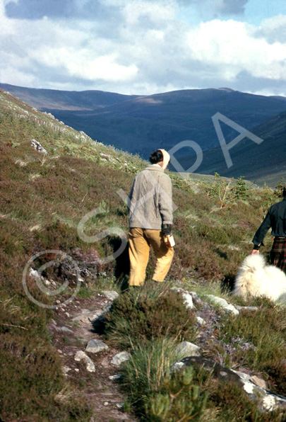 Scottish Highlands scenery, possibly Strathconon. (Courtesy James S Nairn Colour Collection). ~ *