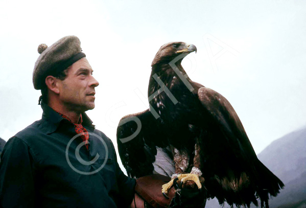 Peter Combe and Murdoch the golden eagle in Strathconon. (Courtesy James S Nairn Colour Collection). ~ 