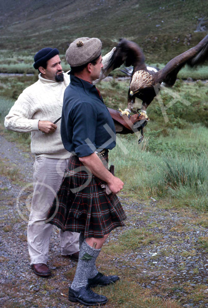 Peter Combe with author Phillip Glasier (1915-2000) and Murdoch the golden eagle in Strathconon. (Co.....